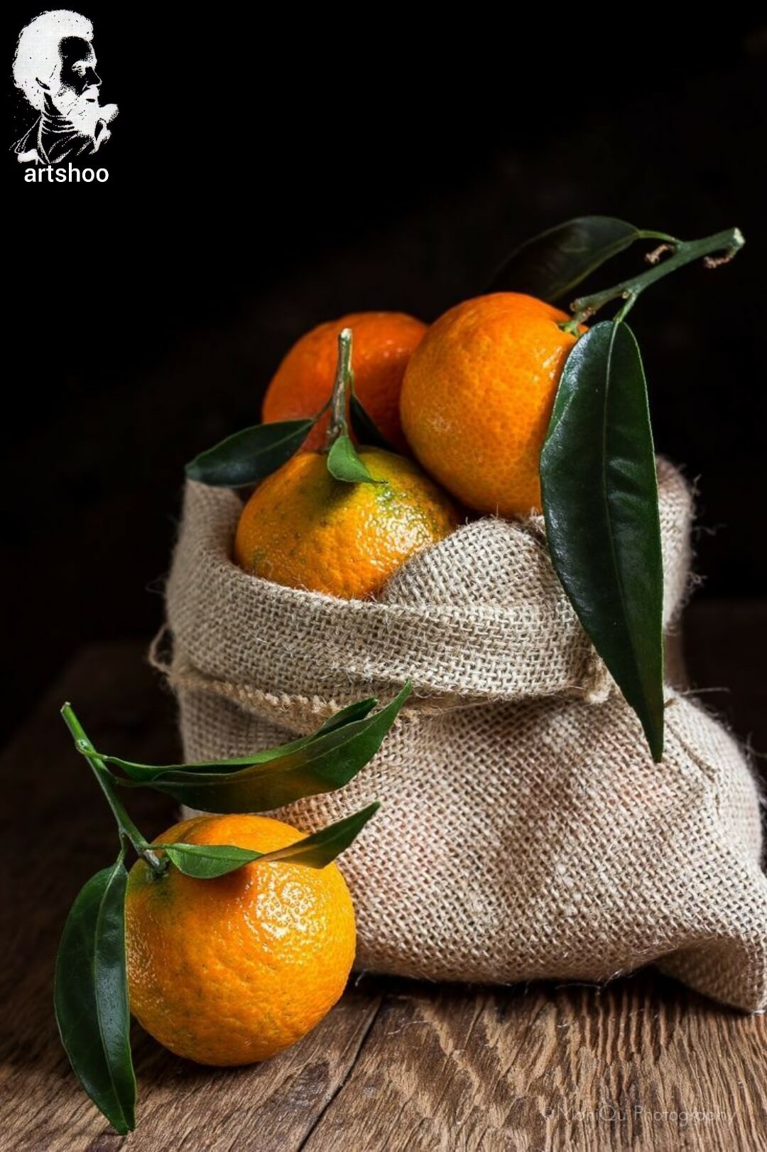 آموزش نقاشی رنگ روغن